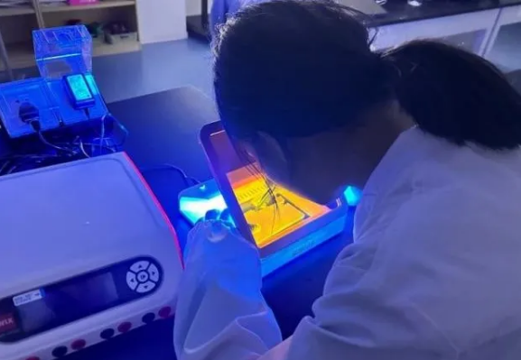 ������������ѧУSTEMȫѧ�ογ�