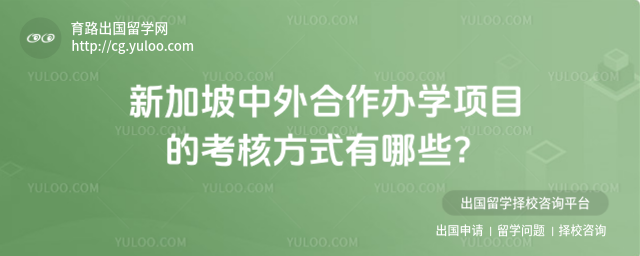 新加坡中外合作办学考核方式