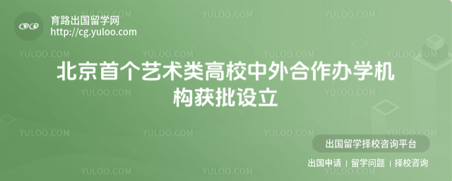 艺术类中外合作办学