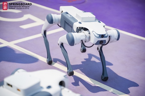 北京开设德国课程的国际学校