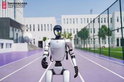 北京开设德国课程的国际学校