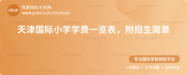 2026年天津国际小学学费一览表