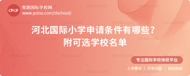 2026��ӱ�����Сѧ������������Щ