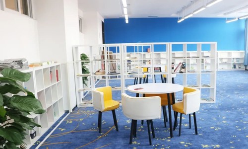 ���ι���˫��ѧУ���У��