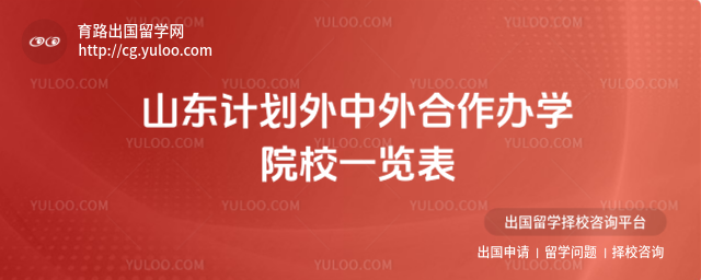计划外中外合作办学院校一览表