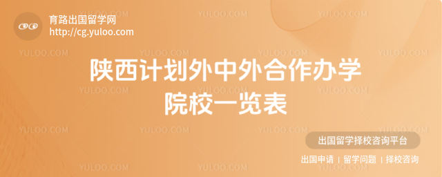 计划外中外合作办学院校一览表