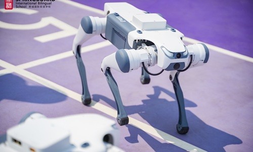 ���Ϲ���˫��ѧУ�˹����ܿγ���ɫ