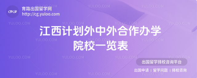计划外中外合作办学院校一览表