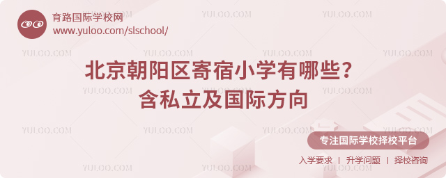 2026�걱������������Сѧ����Щ