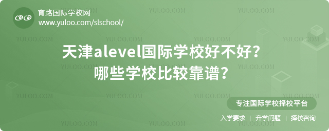 ���alevel����ѧУ�ò���