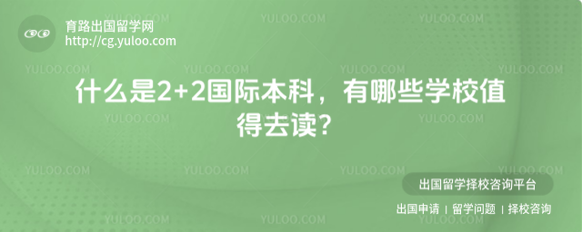 ʲô��2+2���ʱ���