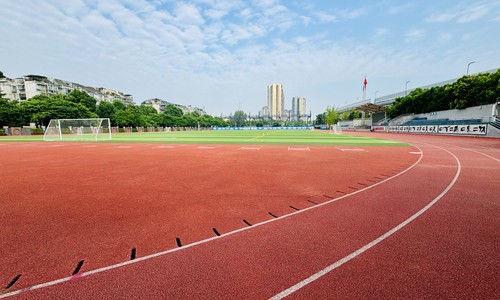 �ɶ����й��ʲ�����-�ɶ��������ѧУ���ʲ��ٳ�