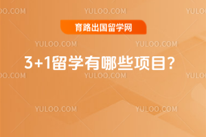 2026��3+1��ѧ����Щ��Ŀ��