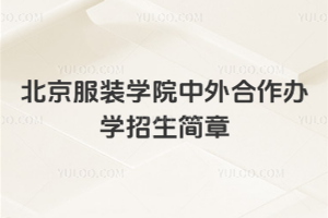 2026年北京服装学院中外合作办学招生简章
