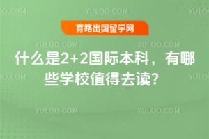 什么是2+2国际本科,有哪些学校值得去读?
