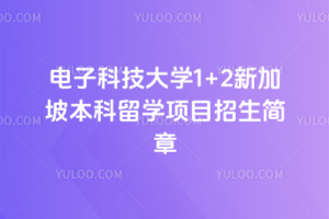 2026年电子科技大学1+2新加坡本科留学项目招生简章