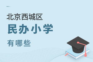 �������������Сѧ����Щ