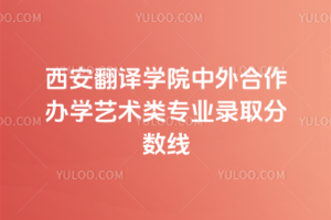 西安翻译学院中外合作办学艺术类专业录取分数线