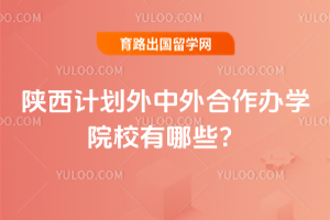 陕西计划外中外合作办学院校有哪些?