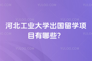 2026年河北工业大学出国留学项目有哪些？