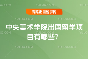 中央美术学院出国留学项目有哪些？