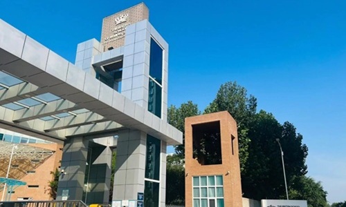 ����Ӣ��ѧУ