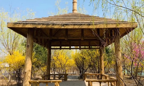 �������йش������ѧУ