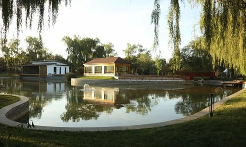 ������������ѧУ