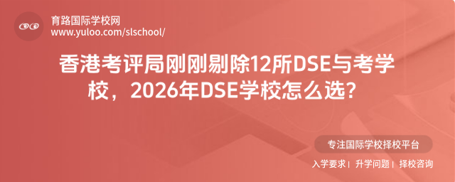 ��ۿ����ָո��޳�12��DSE�뿼ѧУ��2026��DSEѧУ��ôѡ��