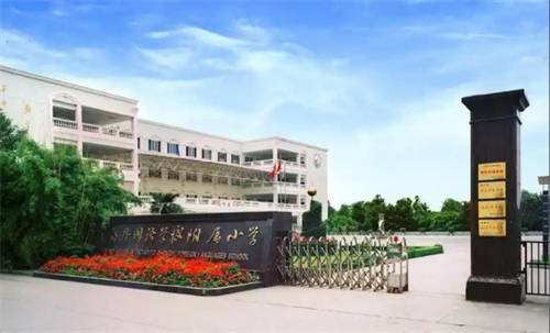 �ɶ������ѧУ����Сѧ