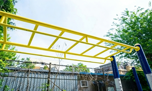 ��������������ʵ��ѧУ