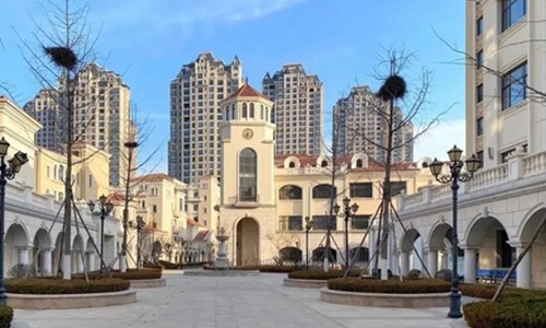 ����������ѧ�������й��ʲ�