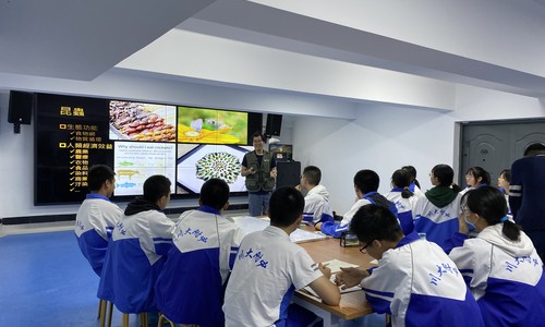 �Ĵ���ѧ������ѧ���ʲ���ѧ����