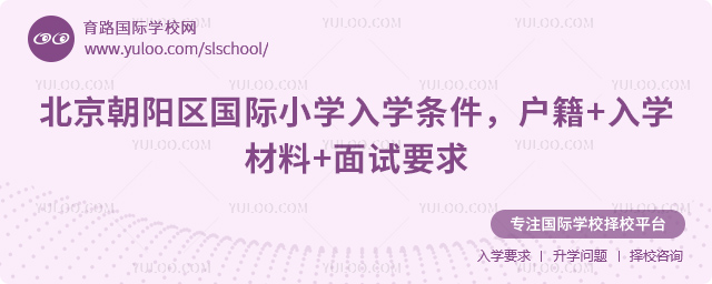 2026年北京朝阳区国际小学入学条件