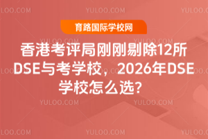 ��ۿ����ָո��޳�12��DSE�뿼ѧУ��2026��DSEѧУ��ôѡ��