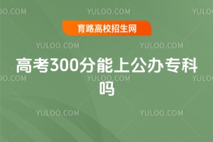 2026�߿�300�����Ϲ���ר������ô����