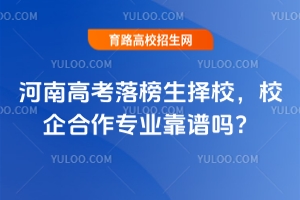 ���ϸ߿��������У��У�����רҵ������