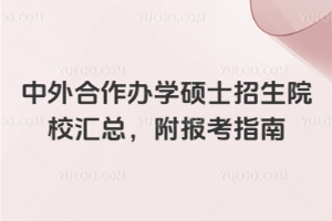 2025中外合作办学硕士招生院校汇总,附报考指南