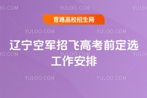 2026年度辽宁空军招飞高考前定选工作安排