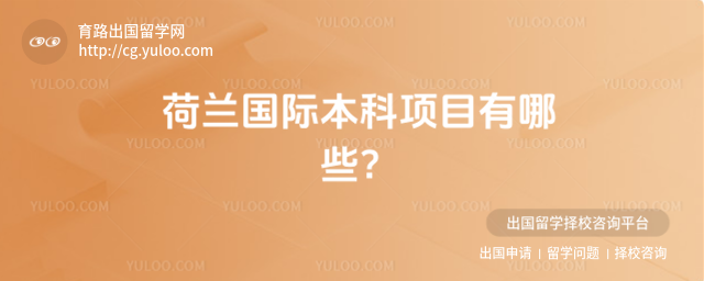 荷兰国际本科项目