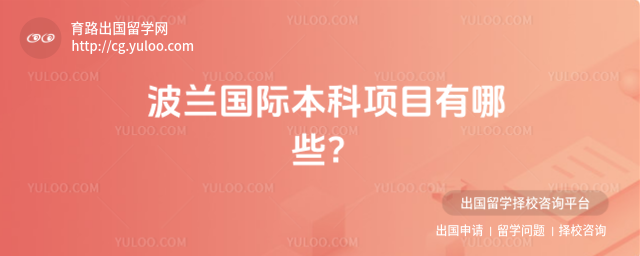 波兰国际本科项目