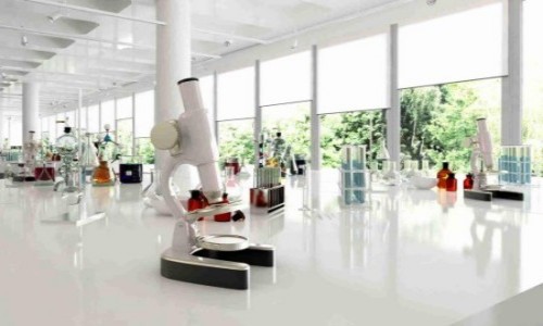 ����ƽ����츴��