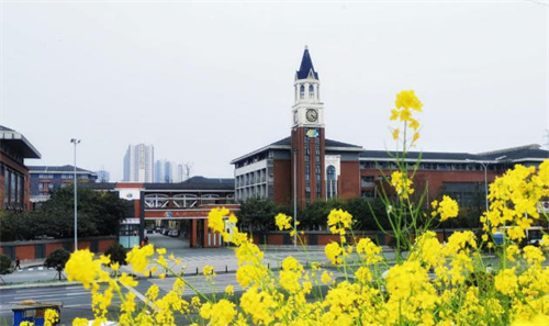 �ɶ��������ѧУ���ʲ�