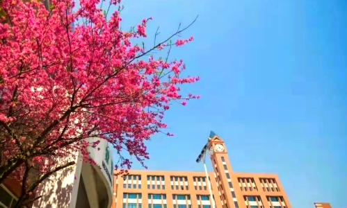 ����Ҷ����ѧУ