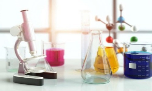 �������������Сѧ