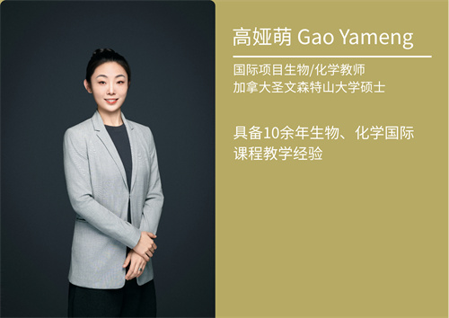 仁泽高中国际部开放日