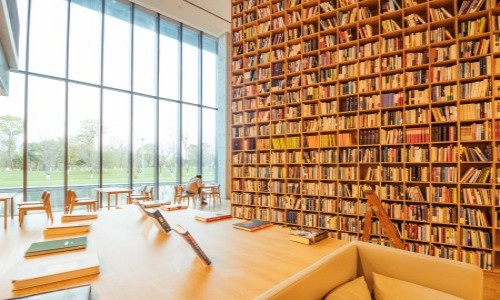 ����Сѧ��ѧ����