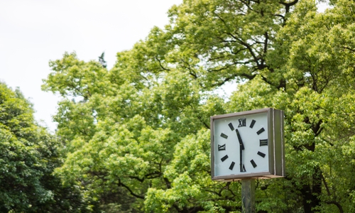 ���ѧУ��ʲô��˼