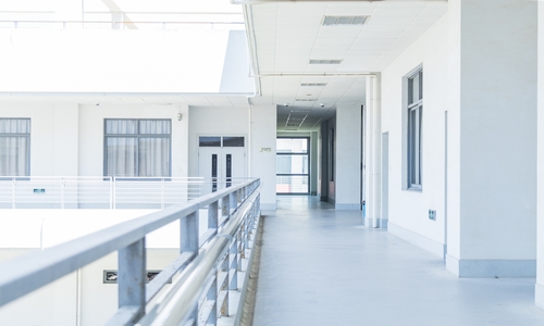 ���ѧУѧ��