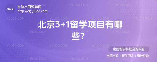 ����3+1��ѧ��Ŀ